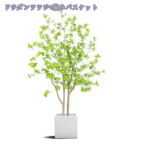 1000~OFFN[| lHA ^ lHϗtA AȎ} Rȗt tFCNO[ A  t p @ׂȎ Rȕ͋C fR[V zMtgɍœK v