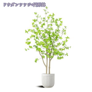 lHϗtA lHO[A V~[VO[A [J tFCNO[ ϗtAtFCN lHϗtA lHϗt tԕ?Q̐SzȂ i  ~ tFCN