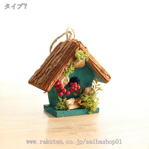 k G u   ؐ o[h nC  AeB[NƂ̑ ̑ ؐ a ̑蕨 k u ֐  ̒ v[g 킢  