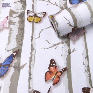 ǎ ǎV[ ؖ  3D Be[WEbhXgCv  ̂t ڒܕsv  CNV[g tH[ h h h JbeBOV[g EH[XebJ[ 