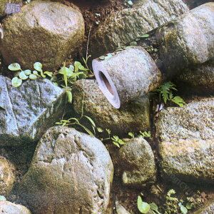 ǎ ǎV[ ؖ  3D Be[WEbhXgCv  ̂t ڒܕsv  CNV[g tH[ h h h JbeBOV[g EH[XebJ[ 