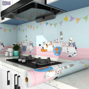 300~OFFN[| ǎV[ `FbN CNV[g  JbeBOV[g ǎ ͂ Ȑڒ EH[ XebJ[ NX ӂ܎ ͗l Lb` ̂t Ƌ ǃ