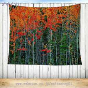 500~OFFN[| ^yXg[ 唻 Ri  Ǌ| CG[ H̐X t ݂  @\Ǌ| _ȃA[g z|X^[ ͗lւ C]  lC VNj rO