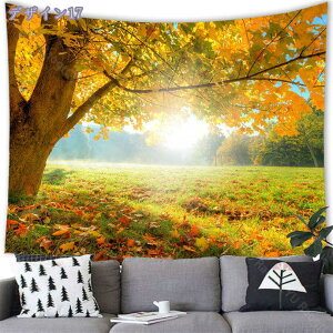 300~OFFN[| HiF ^yXg[ H gt   G i iF  ܂G X R k C]  Jt t@ubNi e[N wi [g[N wiz  Ce