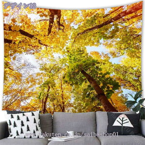 300~OFFN[| ^yXg[ Ǌ| H̐XRi Bep wi t JGf̐X Ԏd؂J[e  CeAG ⑋̏ i ₨X̑ @\Ǐ菬