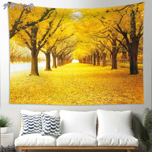 ^yXg[ Ǌ| H̐XRi Bep wi t JGf̐X Ԏd؂J[e  CeAG ⑋̏ i ₨X̑ @\Ǐ菬 Vjv