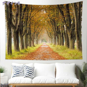 300~OFFN[| H̑^yXg[ H̐X̖؂̑IȗtŕꂽoH CeA  Ǌ|^yXg[ 唻 @\Ǌ| Ǐ EH[fR wiz t@ubN