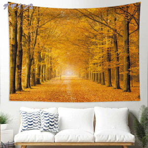 777~OFFN[| ^yXg[ Ǌ| H̐XRi Bep wi t JGf̐X Ԏd؂J[e  CeAG ⑋̏ i ₨X̑ @\Ǐ菬