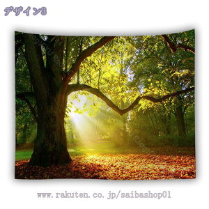 300~OFFN[| ^yXg[ CeA Ǐ Ǌ| RiF gt H ݂ IV z|X^[ ͋C] wi @\ ̂ Jo[ ډB ؘR Xї X tHXg 