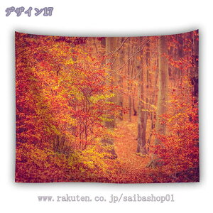 ^yXg[ CeA Ǐ Ǌ| RiF gt H ݂ IV z|X^[ ͋C] wi @\ ̂ Jo[ ډB ؘR Xї X tHXg ₨X̑ @