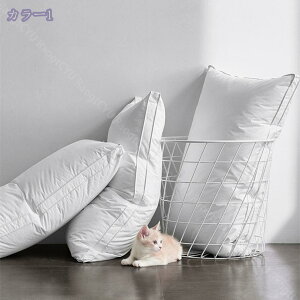 1000~OFFN[|  g 􂦂 48×74CrL~߂   zedl ېOK ߖ ܂  ㎿|GXe@ۓU[ ɗD lԍHw xbhpi ǂQSn 