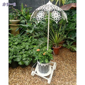 1000~OFFN[| ԑ t[X^h ACA  AeB[N  O CeA v^[X^h K[fjO K[f[h I peBI|bgbN P^ oRj[