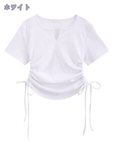 X TVc  _炩 RtH[g 傫TCY EhJbg  tVc  킢 Jbg\[ fB[X V[g gbvX ĕ  JWA X|[c t 