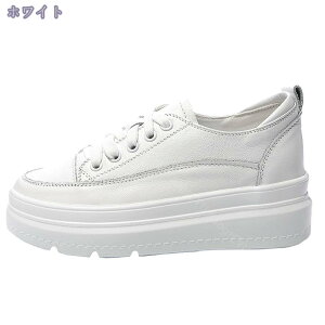 1000~OFFN[| fB[XC V[Y Cq[L Xj[J[  Xj[J[ V[Y \[ r    JWA ₷ q[6cm ₷