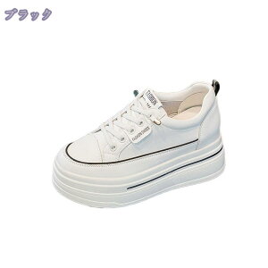 1000~OFFN[| fB[X  Xj[J[ Ȃ C\[C JWAV[Y r l  ₷ n ɂ jOV[Y y C EH[LOV[