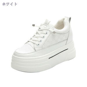 Xj[J[ fB[X t n {v V[Y [XAbv ~ JWA Xj[J[ K t@bV y r ɂ V[Y g[jOV[Y EH[LO 