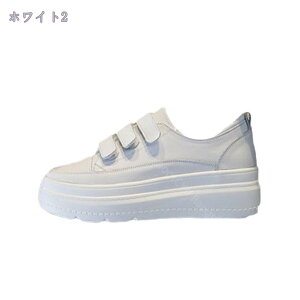 1000~OFFN[| Xj[J[ C fB[X y  JWA r Ȃ 傫TCY [XAbvV[Y ^C ʋC Xj[J[ [Jbg INS  킢 ؍