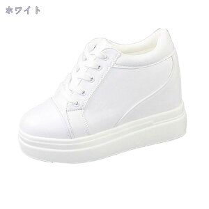 Cq[Xj[J[ V[Y V[Y  Xj[J[ fB[XV[Y JWA ₷ Cq[L JWA Vv fB[XC Xj[J[ r w