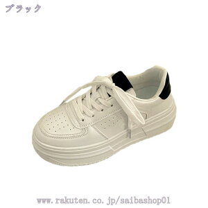 Xj[J[ fB[X  ؂ւ  jOV[Y EH[LOV[Y ₷ ɂ  ʋC y X|[cC ʋΌC ʊwC JWAC y r C 