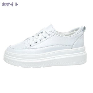 Xj[J[ X[X  V[Y C fB[X EhgD tbg ؂ [XAbv R r g JWA Vv  킢   PF Vv