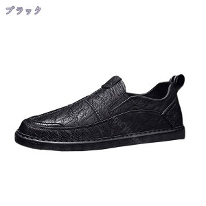 1600~OFFN[| Y Xb| [t@[ hCrOV[Y Vv n y JWA  ItBX K _炩 h Ȃ x[VbN ʊw ʋ  A