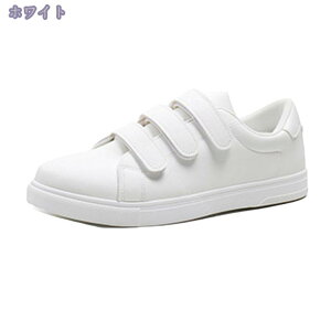 1000~OFFN[| [Jbg rWlX Y ʋ dp l V[Y y L fbLV[Y ~ RtH[g WjA t  H ~ ʋC AEghA _炩 y` 