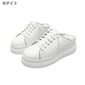 760~OFFN[| Xj[J[ fB[X ƂȂ V[Y  tbgV[Y y ₷ Xb| Ȃ Xbp   T_ C C  ~ 