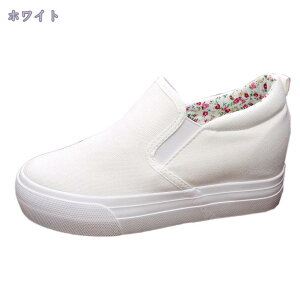 1000~OFFN[| Xb| fB[X V[Y  Cq[ V[Nbg C V[Y n Xj[J[ y  JWA  킢 NbV gAbv h 