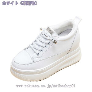3500~OFFN[| fB[X  r y AEghAXb| XbvI D^i[XV[Y ɂȂ ɂX|[cXj[J[ [t@[ EH[LOV[Y Ōt