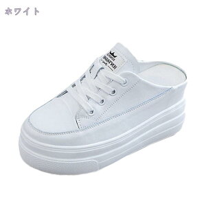 Xj[J[ fB[X ƂȂ Cq[ JWA X|[cV[Y  y T_  Xb| V[Y [XAbv Xbp  y   IV \