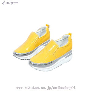 500~OFFN[| Xb| fB[X  Xj[J[ RȂ i[XV[Y EH[LOV[Y fbLV[Y JV ʋC JWA Ȃ hCrOV[Y wlC 