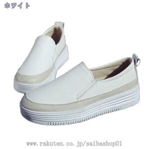 Xj[J[ Xb| fB[X Xj[J[ ؂   킢 Vv 3Z` q[ I[V[Y ᔽ y EH[LOV[Y 22.5-24.5 U [t@[ JW