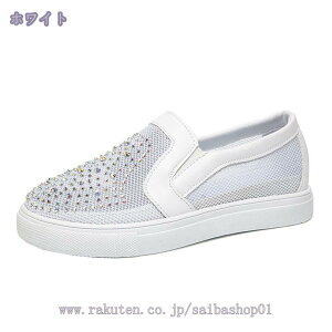 1000~OFFN[| ₷ Xb| fB[X C Xj[J[ CXg[ LL    V[Y Ȃ ؂ tbgV[Y tbg V[Y ʋ ʊw ^