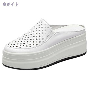 2000~OFFN[| vU[ Xj[J[ Xb| JWA Xbp T_ ₷ fB[X  6cm [Jbg  Xj[J[ T_ ؂ tbgV[Y Xb