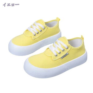 Xj[J[ fB[X  EH[LOV[Y 킢 ^C NbV ₷ y ʋC X|[c jO W tBbglX ʊw Xb| fbLV[Y n JW