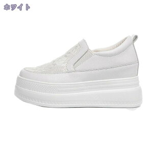 1000~OFFN[| Xb| fB[X Xj[J[  ₷ bV ʋC y [JbgXj[J[ JWAV[Y C  [t@[ ʋ ʊw s t r 