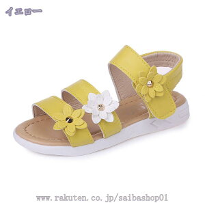 500~OFFN[| ԏ T_ LbY X|[c fB[XV[Y T_ r[` JWAT_  y ₷  ̎q X|[cT_ ₷ ʋC 