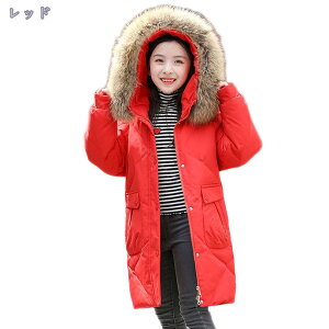 1000~OFFN[| q R[g  t@[t[ht WPbg  OJ Wbp[ LbY g _ER[g O ւ֗ 㒅 h h i ~ AE^[EFA ʉ 