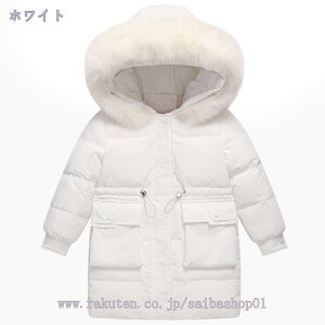 q R[g  t@[t[ht WPbg  OJ Wbp[ LbY g _ER[g O ւ֗ 㒅 h h i ~ AE^[EFA ʉ ʊw VN a