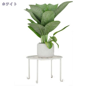 1000~OFFN[| a30CM ԑ ACA t[X^h ϗtA Aؔ Lrtu v[g  K[fjO AeB[N  O  a23CM ubN ACAt