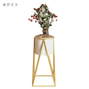 1600~OFFN[| t[X^h  v^[X^h S[h 70cm ԑ  ACA v^[ X^h X ϗtA  |bg t[ bN  Aؔ u  
