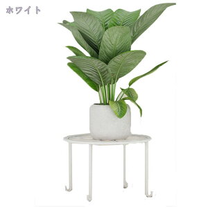 ԑ ACAt[X^h AؔX^h Lrtu v[g  K[fjO AeB[N  O  ubN t[X^h X^h X^h ACA L