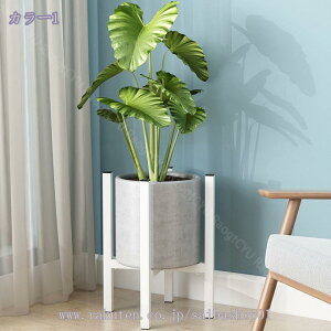1600~OFFN[| t[X^h K[fjO I ԑ 26cm~40cm ߉\ ACA |bN 둢  | Aؔu CeA O ACA v^[bN 