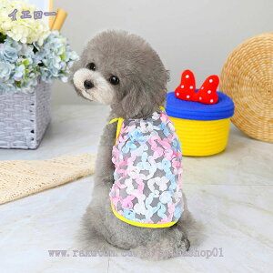   t ^ hbOEFA ybg L lR ˂ m tĕ  ybg ^Ngbv Ȃ m[X[u ʋC  L~\[ Lm Ă̔ _炩 Eѕی 