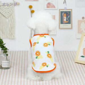 300~OFFN[| 킢   ybgEFA L~\[ ^Ngbv  L hbO Lbg   ^ ^ ybgpi ybgObY Ȃ m[X[u vI[o[ 