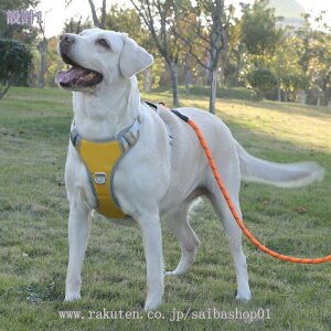 300~OFFN[| pn[lX AɗD  ^ ^ ^p ߉\ ėp  ʋC h~ EȒP U  n[lX Č Hc P hbO  pn[