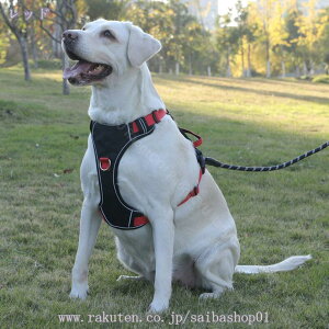 777~OFFN[|  ^ n[lX pn[lX Lpn[lX ʋC K Ȃ L ^ ^ [ht  ėp  EȒP h~ Ȃ  Up A