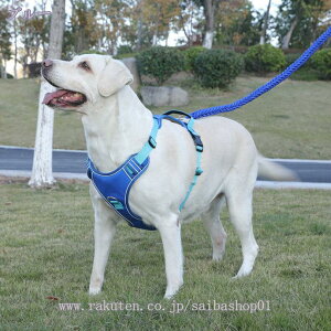 777円OFFクーポン 犬 小型犬 ハーネス 犬用ハーネス 猫用ハーネス 通気 快適 抜けない 猫 超小型犬 中型犬 リード付き 胴輪 夏用 可愛い 着脱簡単 引っ張り防止 抜けない おしゃれ 散歩用 喉に