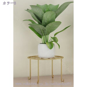 300~OFFN[| v^[ t[X^h K[fjOpi ԑ u |   x_ eX GgX K[fjO ʋC Q\h ͂ X`[ AeB[N 