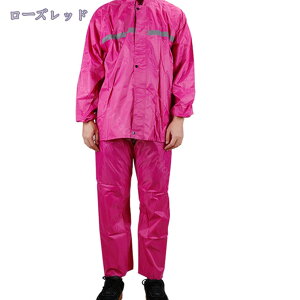 500~OFFN[| CEFA ㉺ ㉺Zbg Jbp CEFA w ʋ ʊw CX[c fB[X Y ˃e[v Lv Sh ] 傫TCY oR y ʊwp 